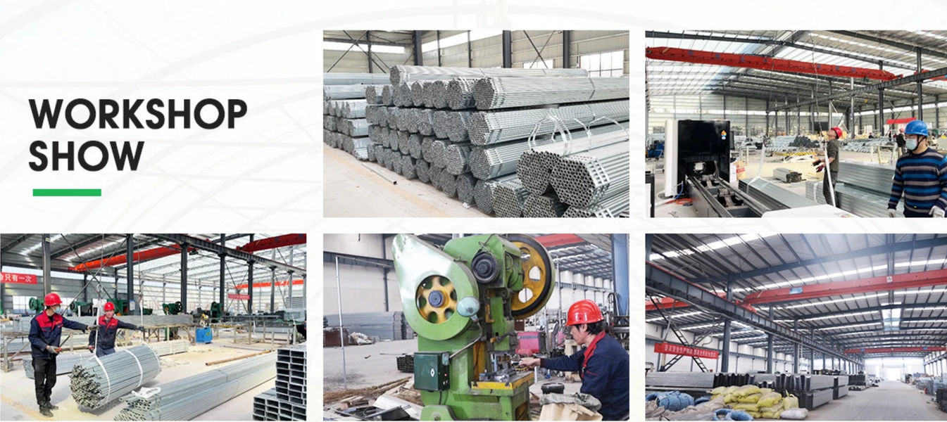 Shandong Lisent Agricultural Technology Co., Ltd. 제조업체의 생산 라인
