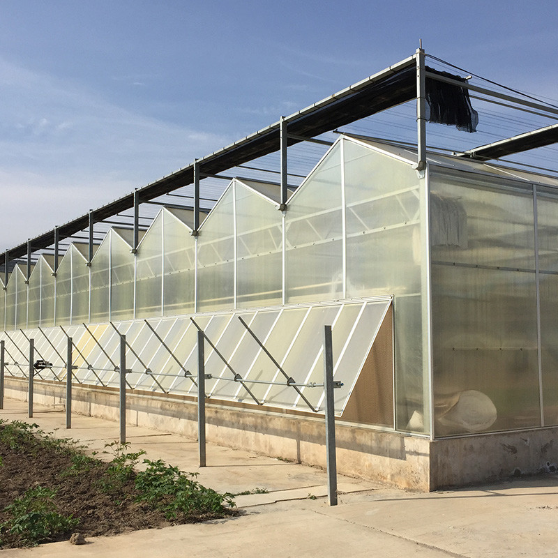 Customizable Polycarbonate Greenhouse